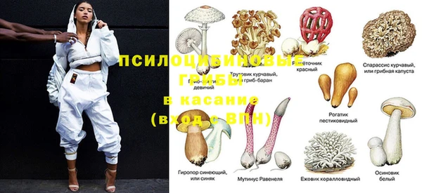 гидропоника Михайловка