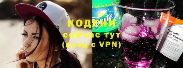 соль ск Абаза