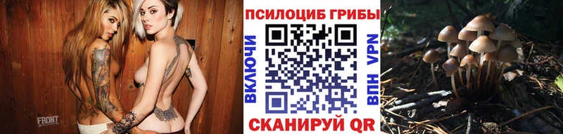 Галлюциногенные грибы прущие грибы Рассказово